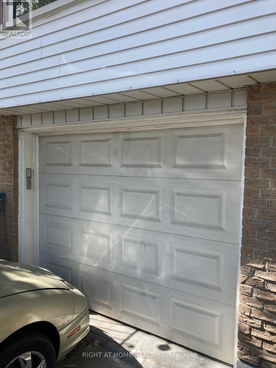Lower - 8 Regency Street, Hamilton, Ontario  L8T 4V3 - Photo 2 - X12444316