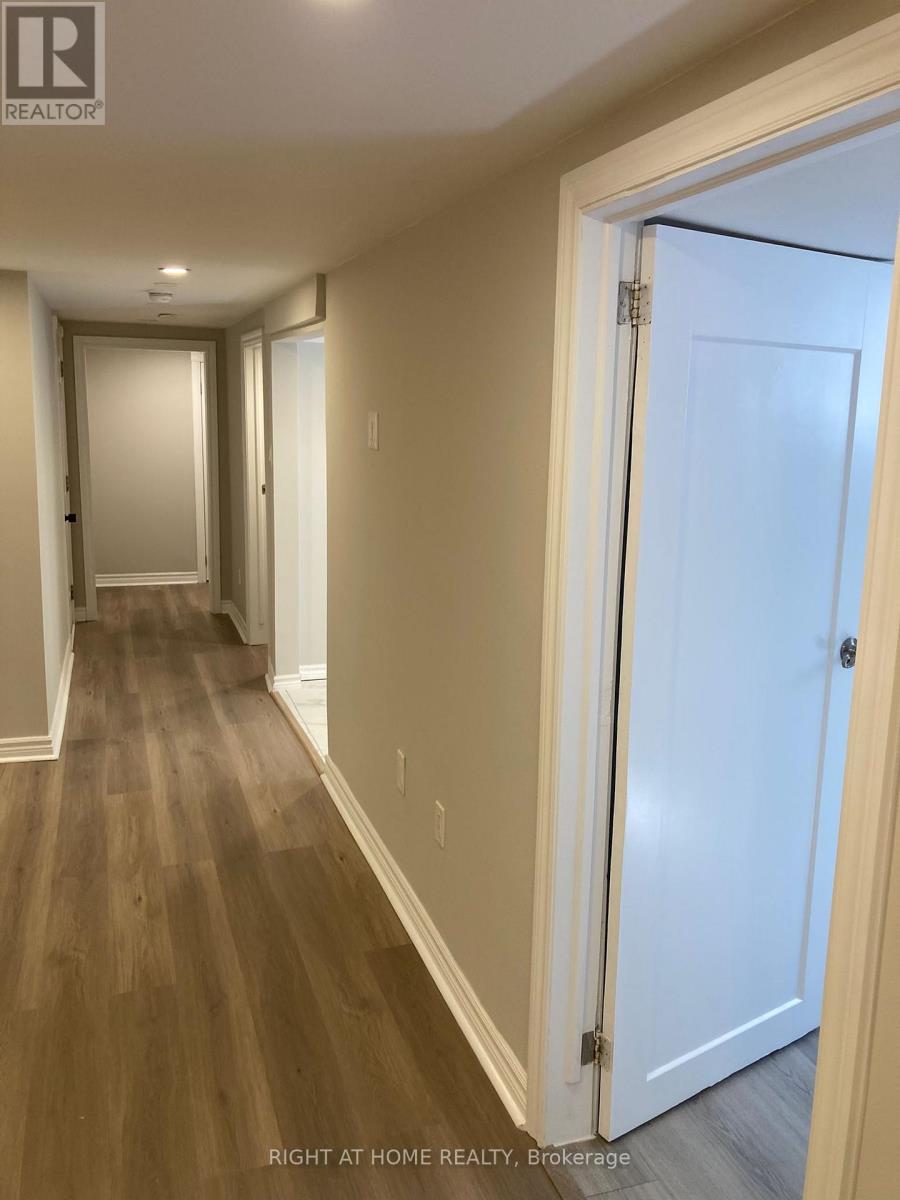 Lower - 8 Regency Street, Hamilton, Ontario  L8T 4V3 - Photo 7 - X12444316