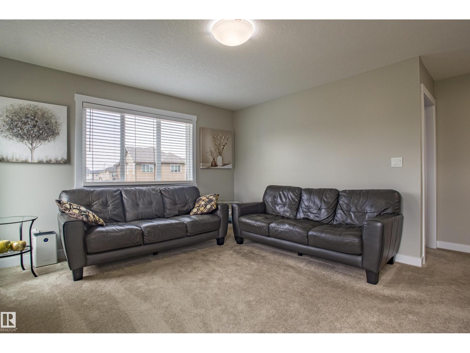 9806 225a St Nw, Edmonton, Alberta  T5T 5X8 - Photo 23 - E4460320