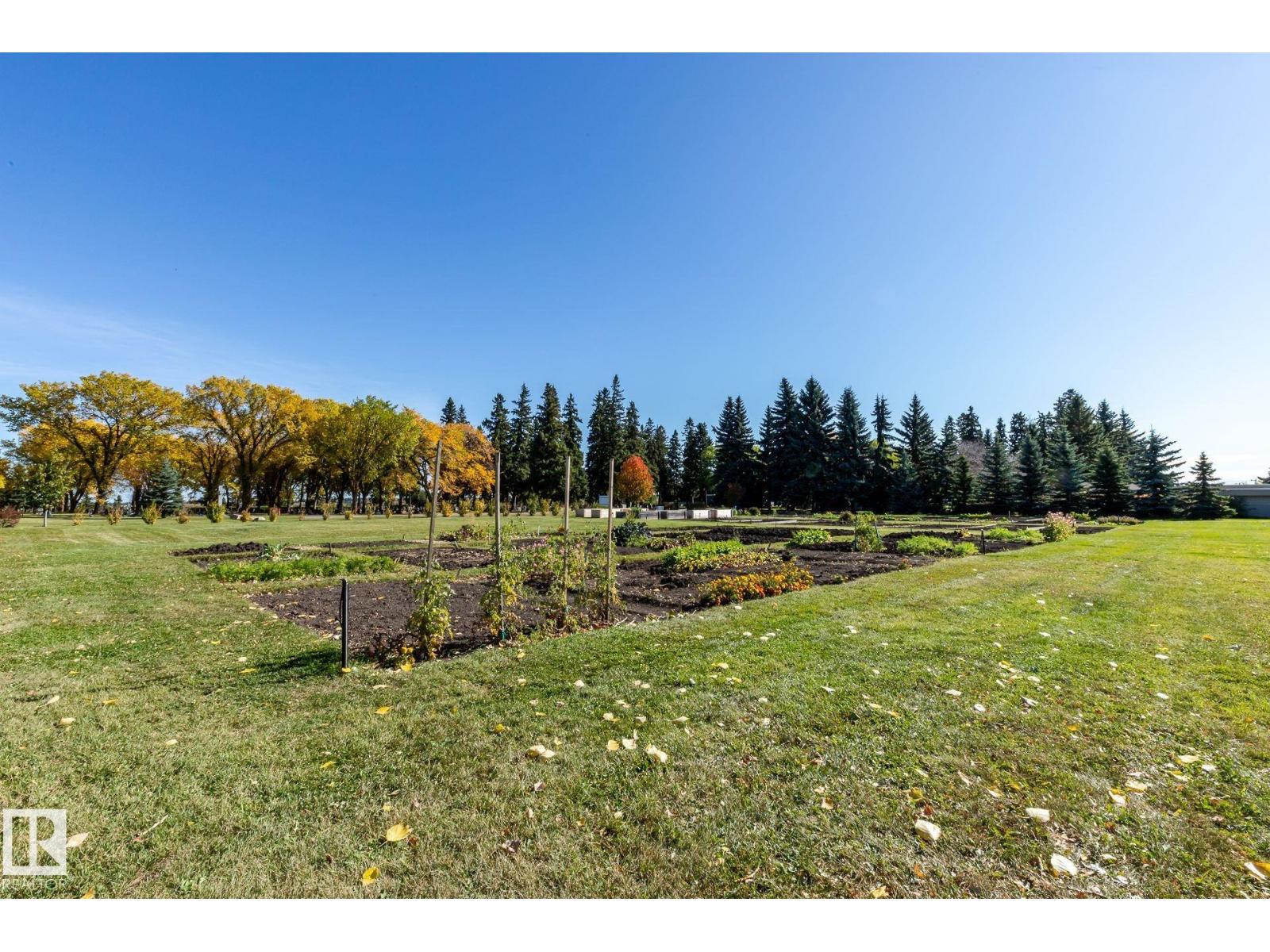 #302 78 Mckenney Av, St. Albert, Alberta  T8N 1L9 - Photo 49 - E4460771