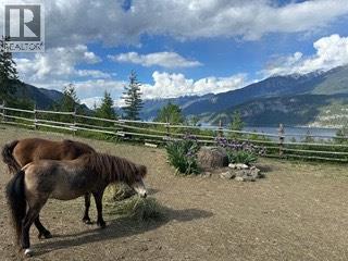 8840 Olson Road, Kaslo, British Columbia  V0G 1M0 - Photo 10 - 10364982