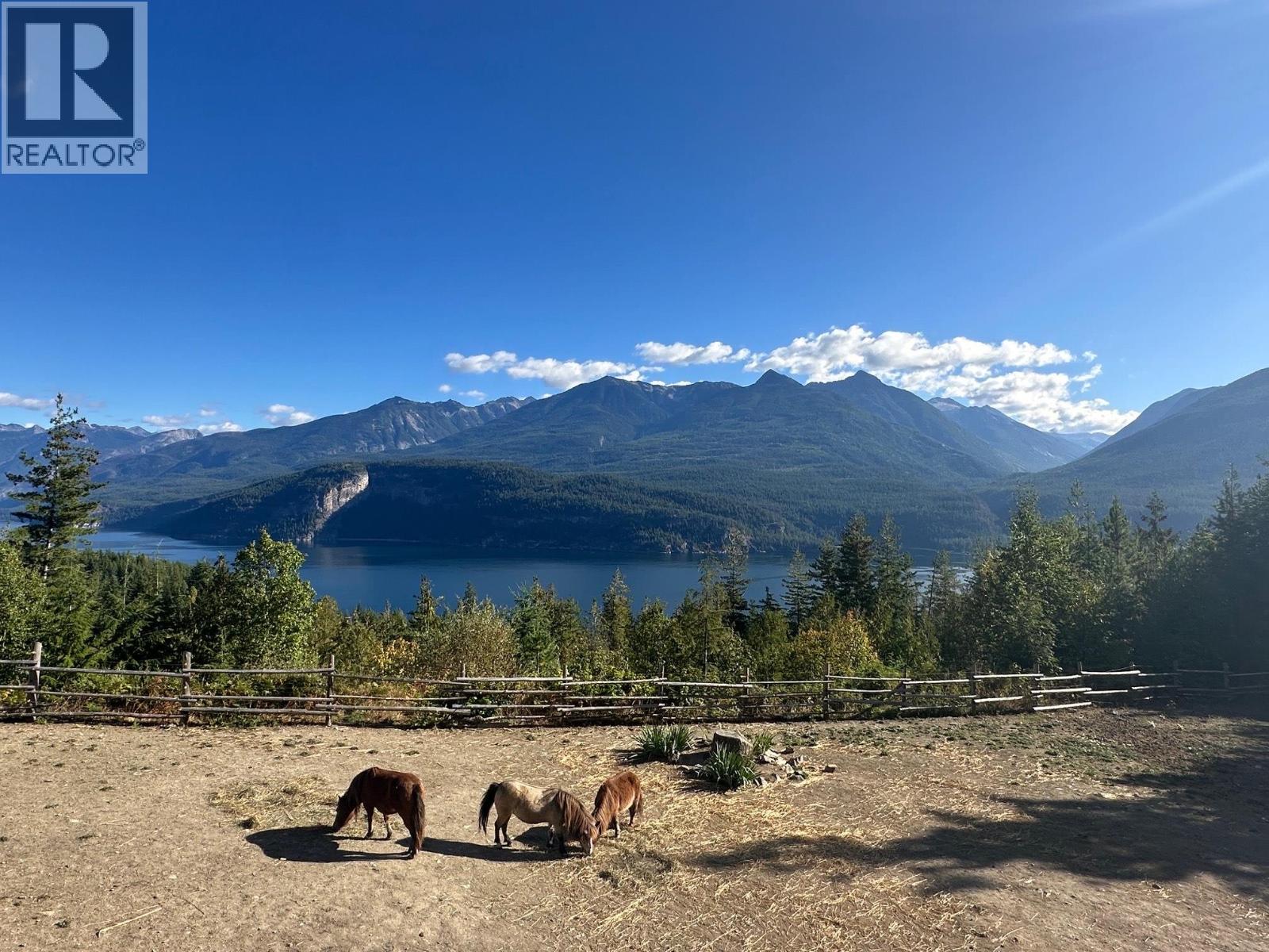 8840 Olson Road, Kaslo, British Columbia  V0G 1M0 - Photo 19 - 10364982