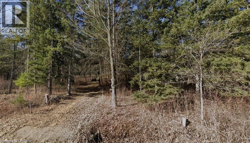 Pt Lt H Shellard Road, Cambridge, Ontario  N1R 5S7 - Photo 5 - 40776371