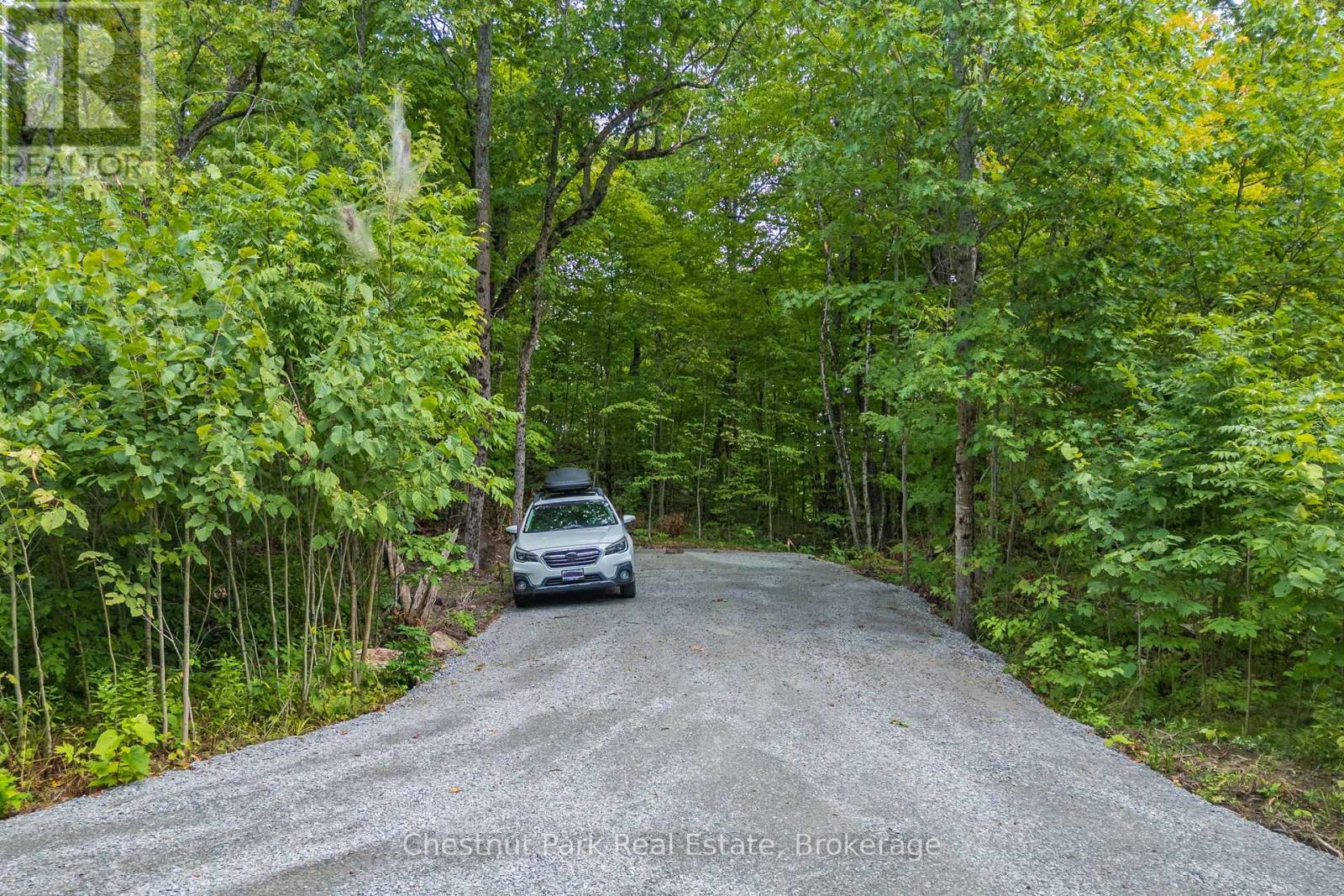 517 Mohawk Road, Georgian Bay, Ontario  L0K 1S0 - Photo 12 - X12444443