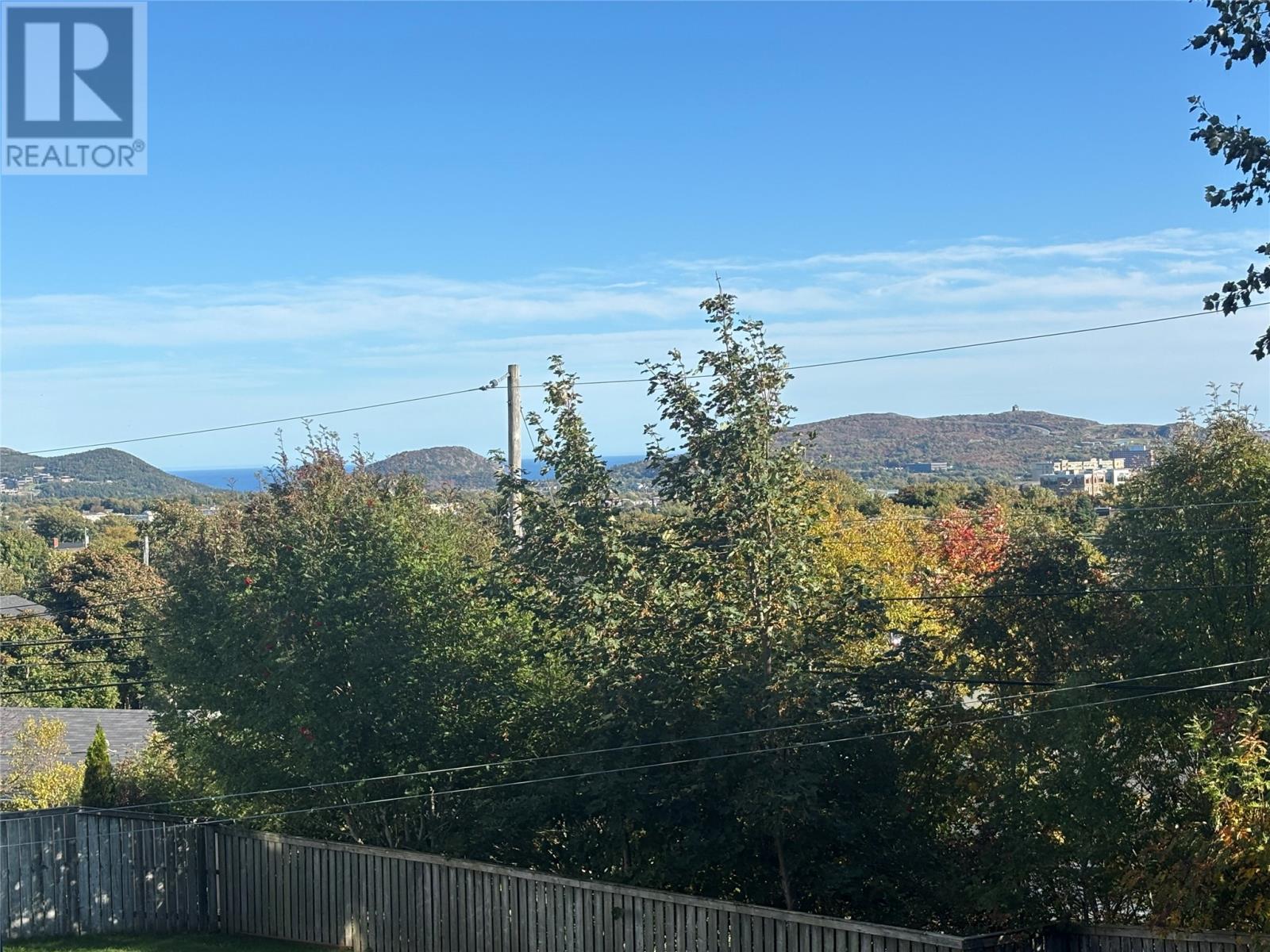 27 Lunenburg Street, St. John's, Newfoundland & Labrador  A1A 5A3 - Photo 39 - 1291178