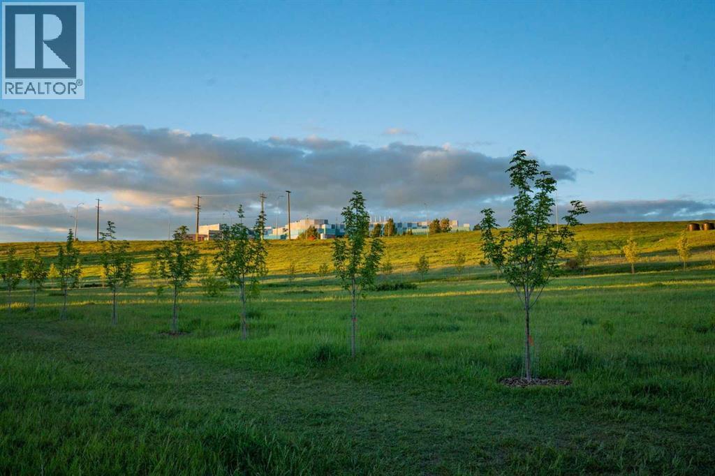 4744 Montalban Drive Nw, Calgary, Alberta  T3B 1E5 - Photo 39 - A2193991