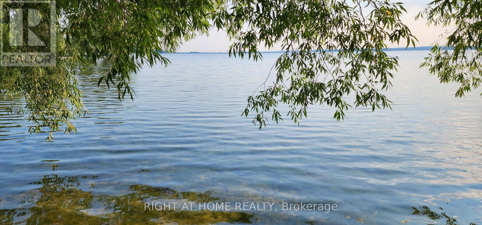 209 Wynhurst Road, Georgina, Ontario  L4P 2R6 - Photo 37 - N12441868