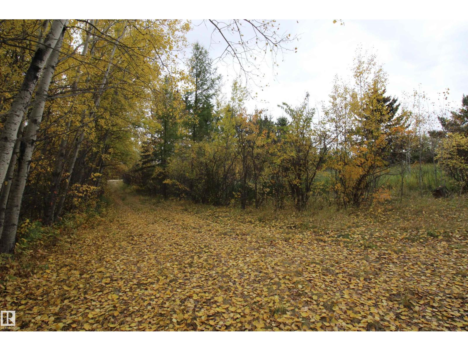 58201 Rge Rd 23, Rural Barrhead County, Alberta  T0E 1A0 - Photo 13 - E4460787
