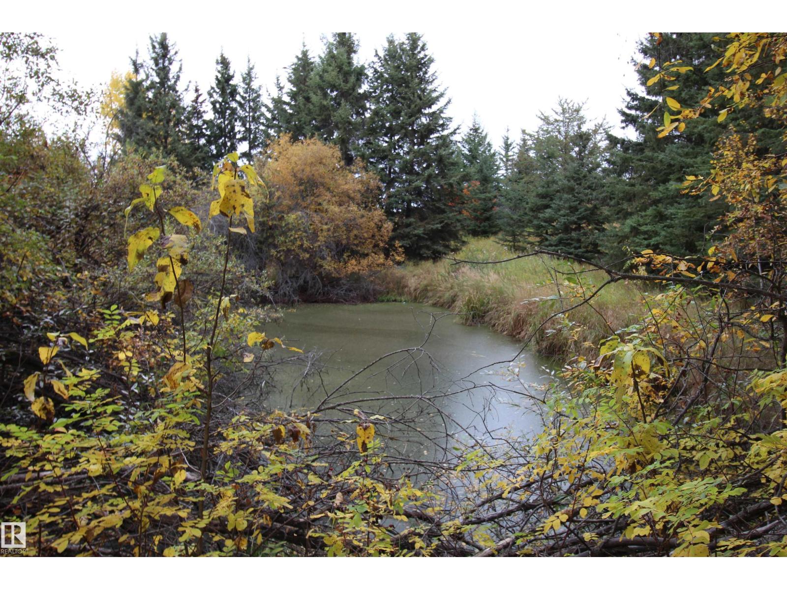 58201 Rge Rd 23, Rural Barrhead County, Alberta  T0E 1A0 - Photo 8 - E4460787
