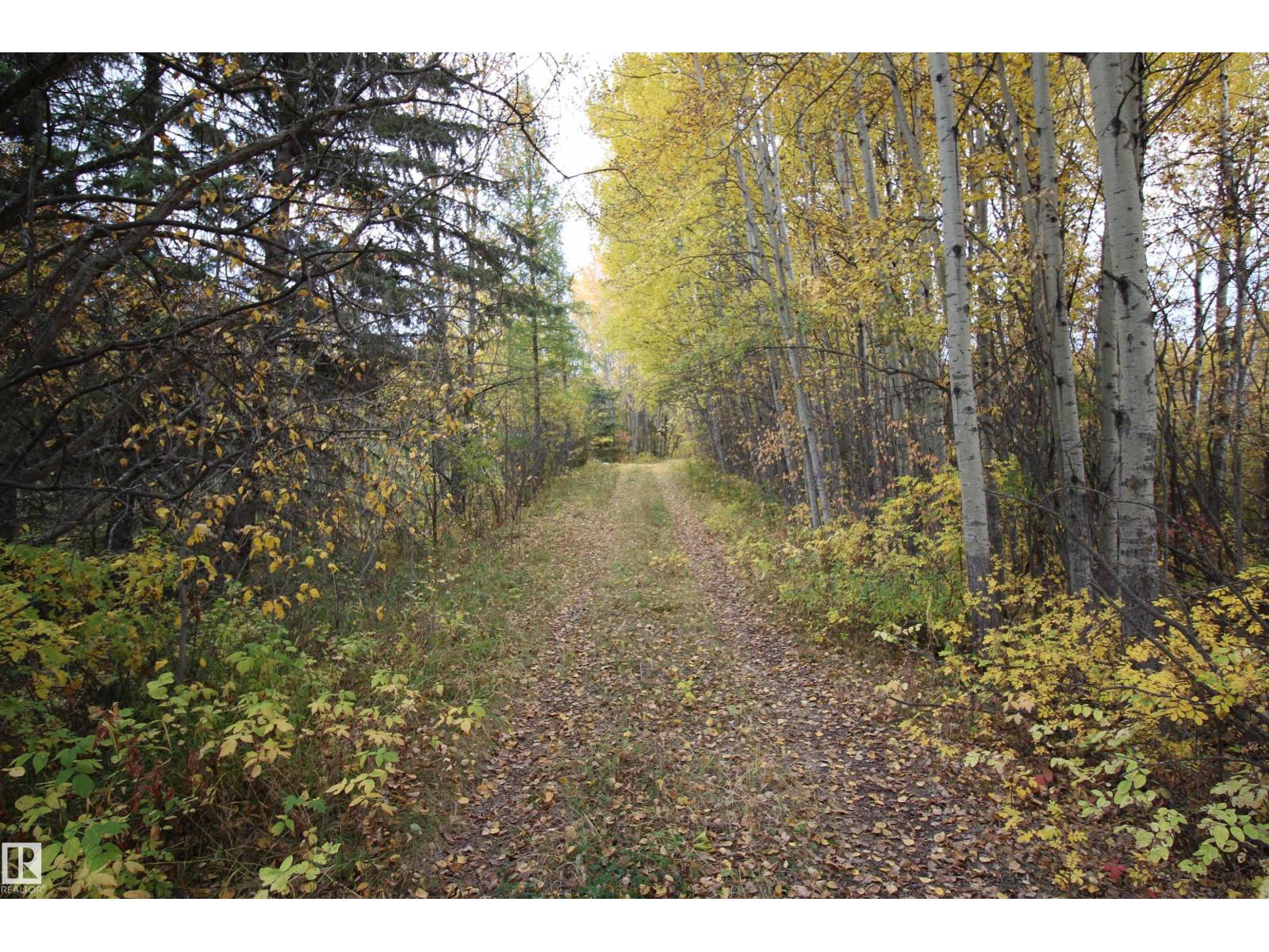 58201 Rge Rd 23, Rural Barrhead County, Alberta  T0E 1A0 - Photo 9 - E4460787