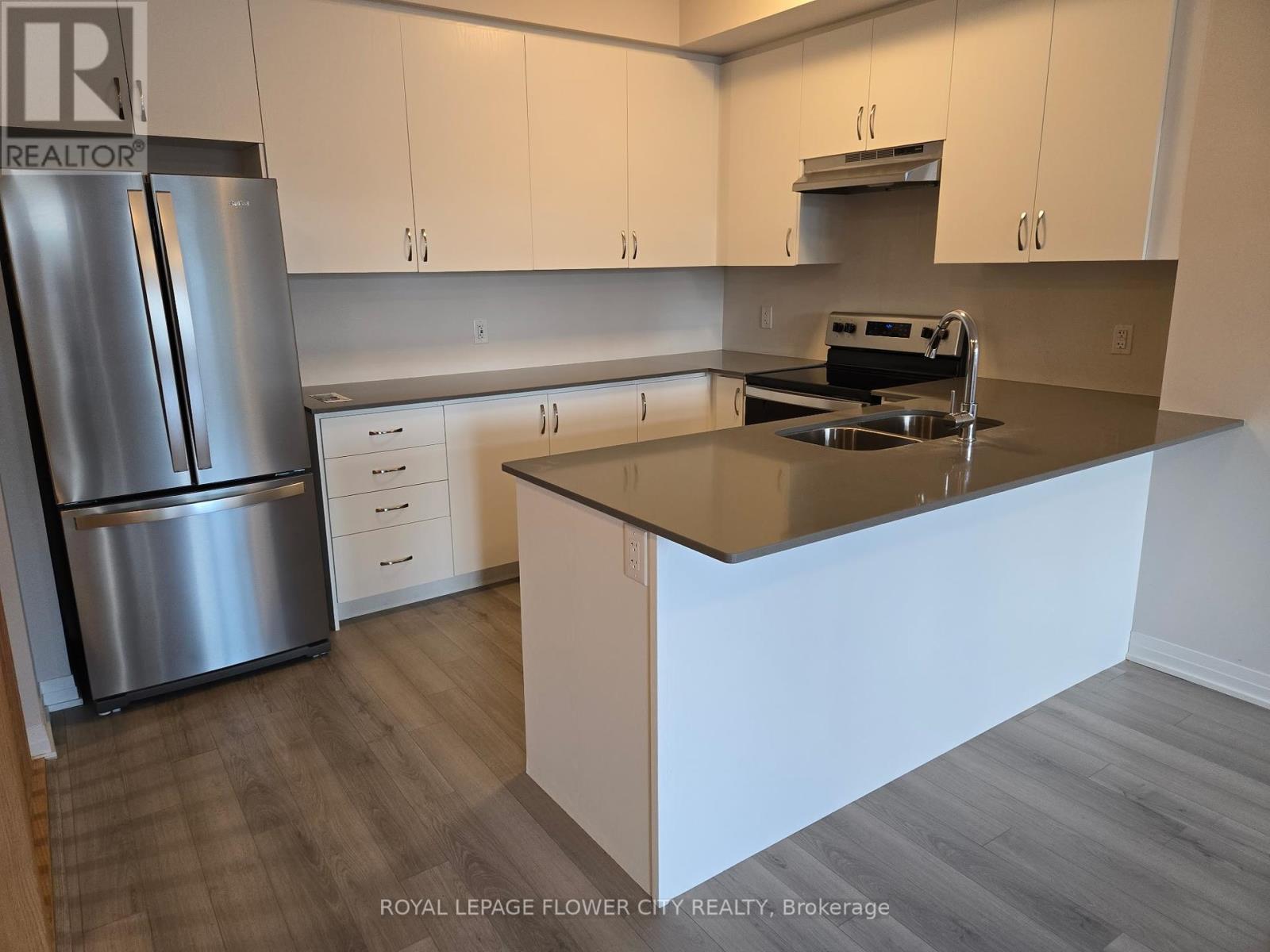 703 - 585 Colborne Street, Brantford, Ontario  N3S 3M7 - Photo 3 - X12444494