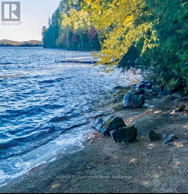 1159 Schufelt Road N, Lake Of Bays, Ontario  P0B 1A0 - Photo 27 - X12444437