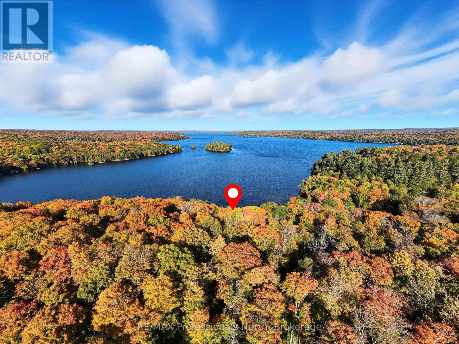 1159 Schufelt Road N, Lake Of Bays, Ontario  P0B 1A0 - Photo 36 - X12444437