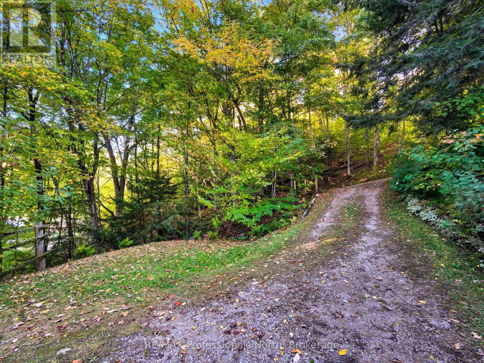 1159 Schufelt Road N, Lake Of Bays, Ontario  P0B 1A0 - Photo 45 - X12444437