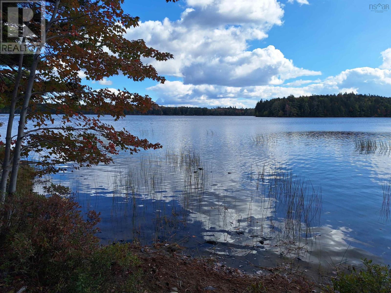 Lot 133 162 Eagle Rock Drive, Lunenburg County, Nova Scotia  B0R 1H0 - Photo 19 - 202525099