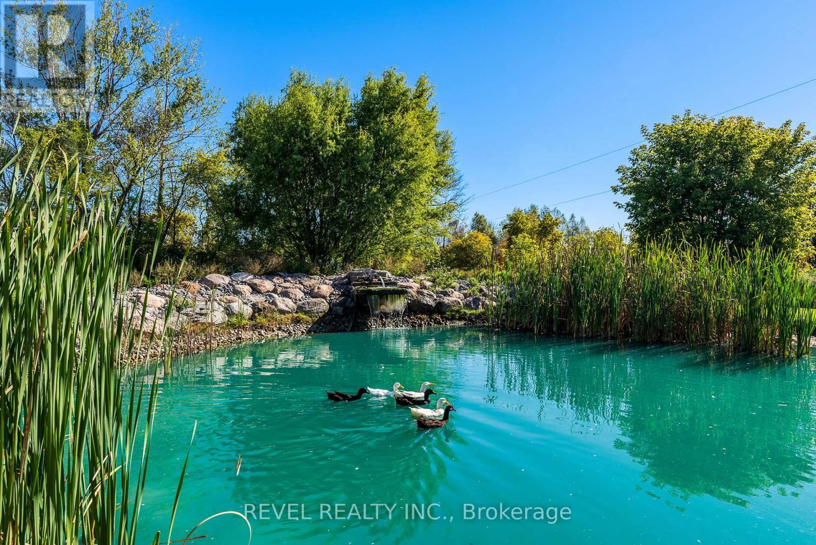 572 6th Line, Port Hope, Ontario  L0A 1J0 - Photo 27 - X12444674