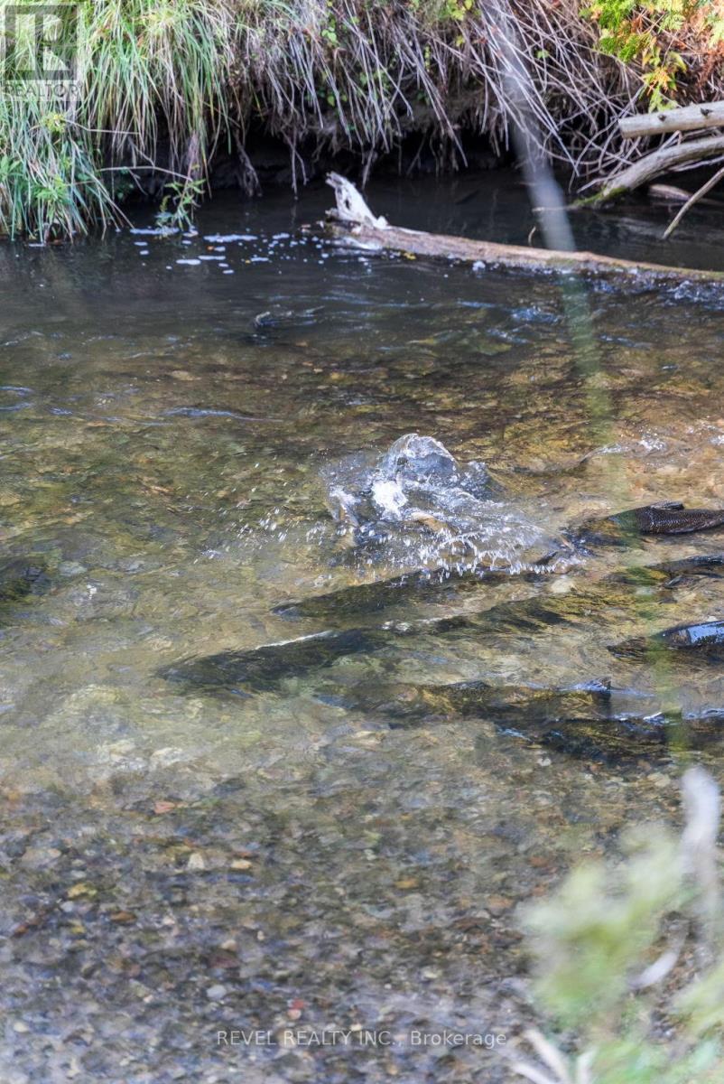 572 6th Line, Port Hope, Ontario  L0A 1J0 - Photo 39 - X12444674