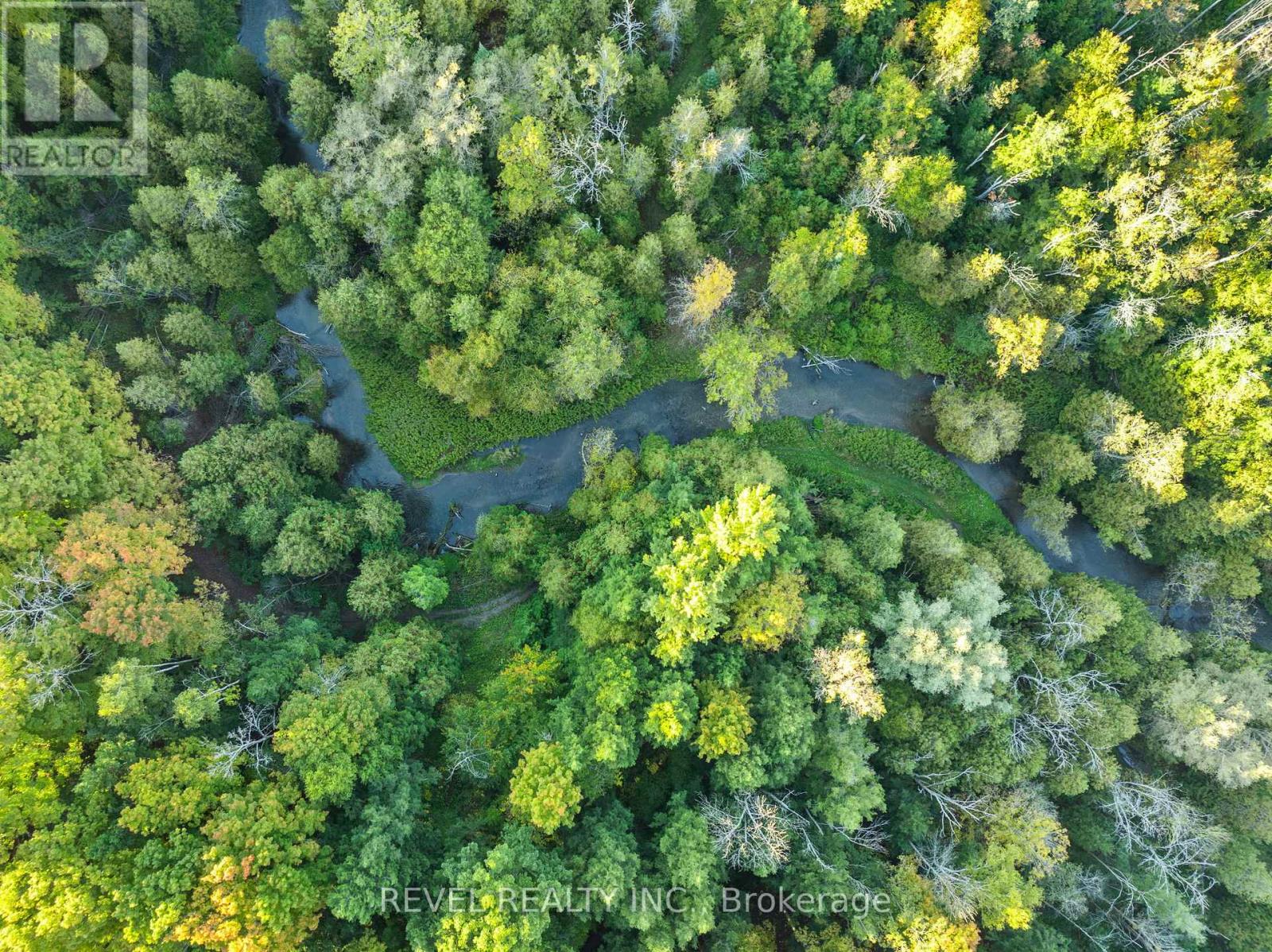 572 6th Line, Port Hope, Ontario  L0A 1J0 - Photo 41 - X12444674