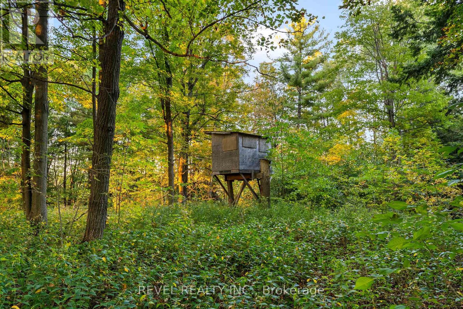 572 6th Line, Port Hope, Ontario  L0A 1J0 - Photo 43 - X12444674