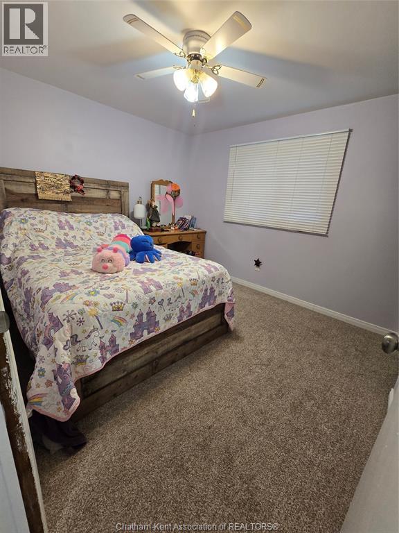 57 Lisgar Street, Ridgetown, Ontario  N0P 2C0 - Photo 26 - 25025170