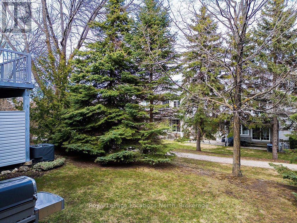 38 - 146 Settlers Way, Blue Mountains, Ontario  L9Y 0N9 - Photo 31 - X12444841