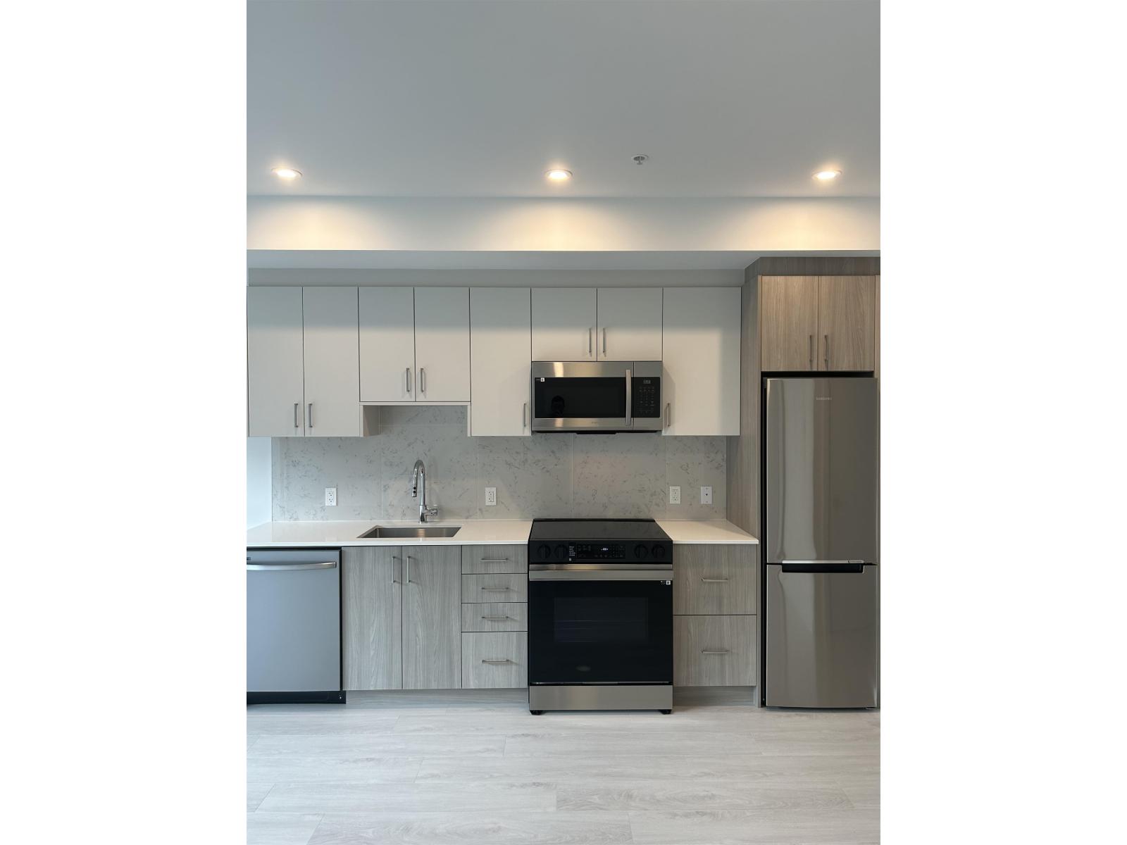 E20X 13858 108 AVENUE, Surrey, British Columbia