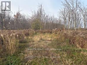 4942 County Road 34 Road, South Glengarry, Ontario  K0C 1L0 - Photo 3 - X12444860