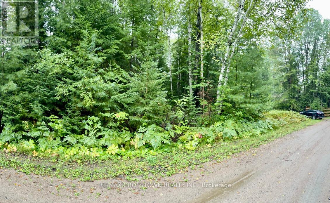 7 Mount Antoine Road, Mattawan, Ontario  P0H 1V0 - Photo 3 - X12444867
