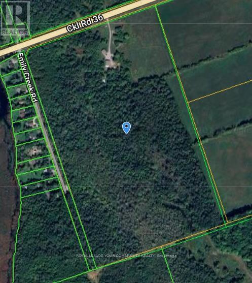 2236 County 36 Road, Kawartha Lakes, Ontario  K0M 1L0 - Photo 3 - X12272253