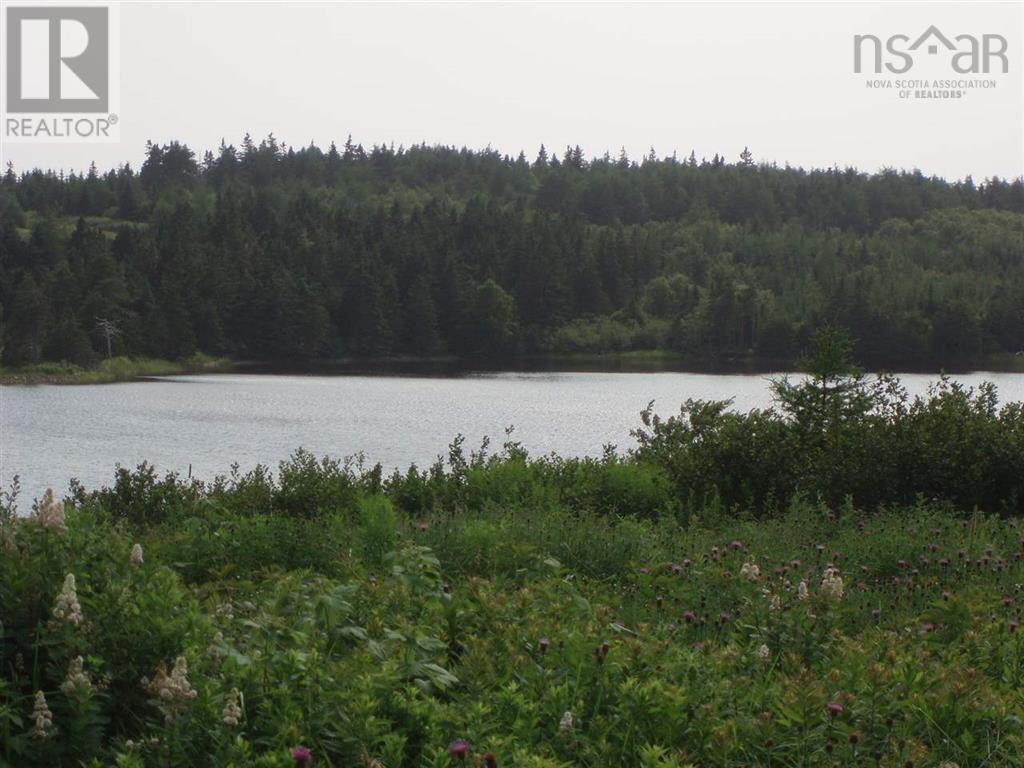 Lot 8-10 Crooked Lake Road, Framboise, Nova Scotia  B2J 1C2 - Photo 13 - 202525123