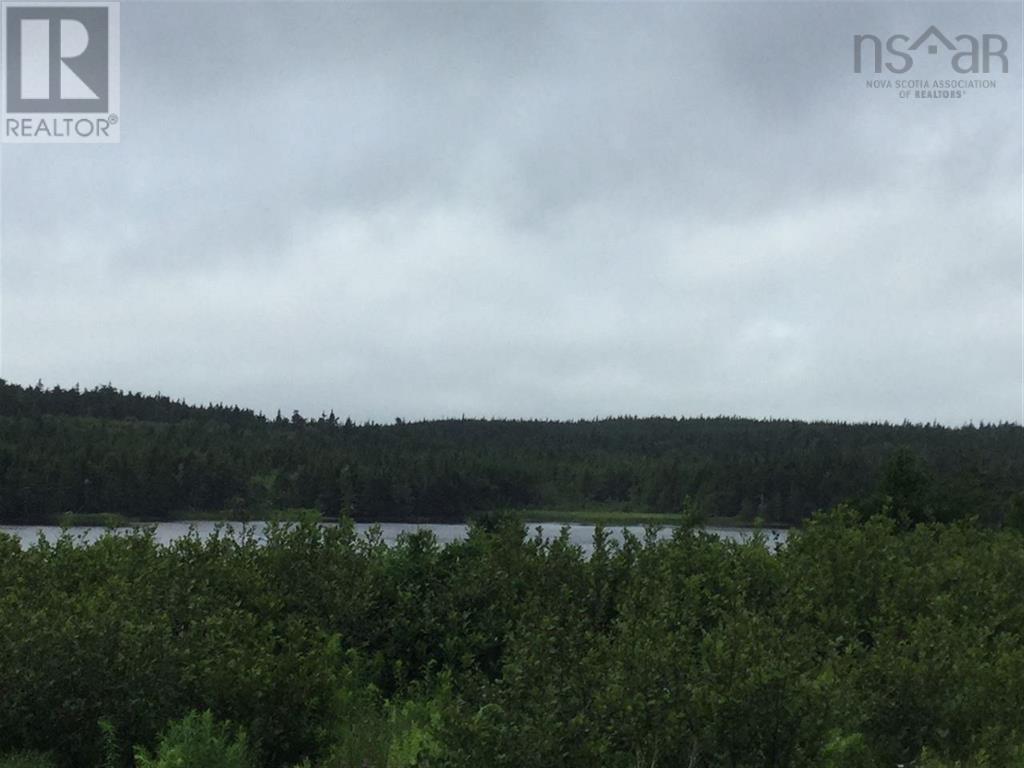 Lot 8-10 Crooked Lake Road, Framboise, Nova Scotia  B2J 1C2 - Photo 3 - 202525123