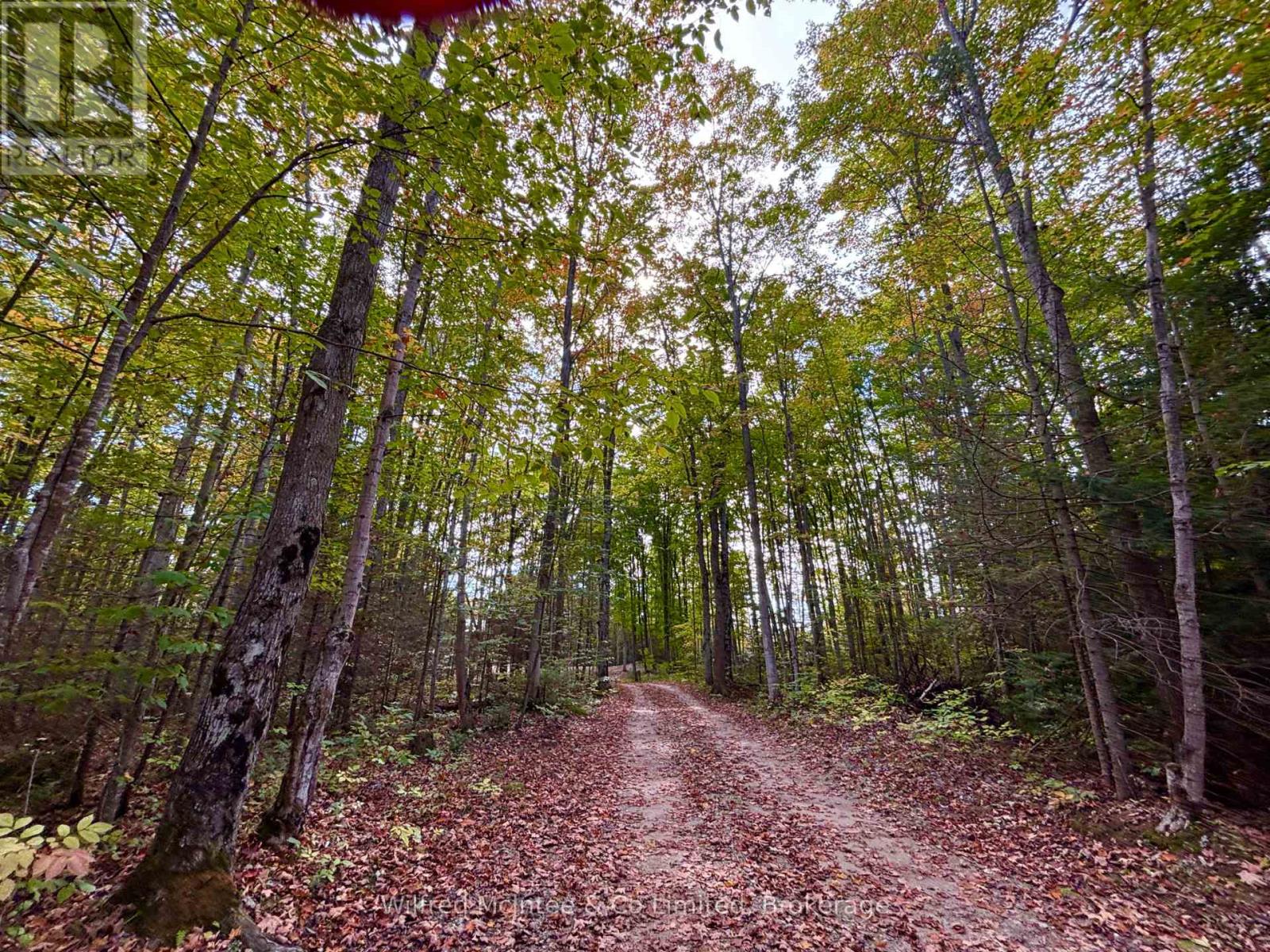 78 Indian Trail, South Bruce Peninsula, Ontario  N0H 2T0 - Photo 10 - X12441888