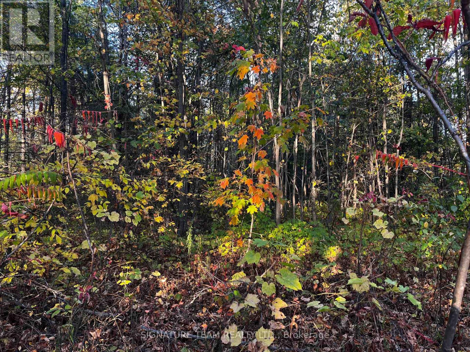 Lot 0 Bellamy Road, Mcnab/braeside, Ontario  K0A 3L0 - Photo 2 - X12444932