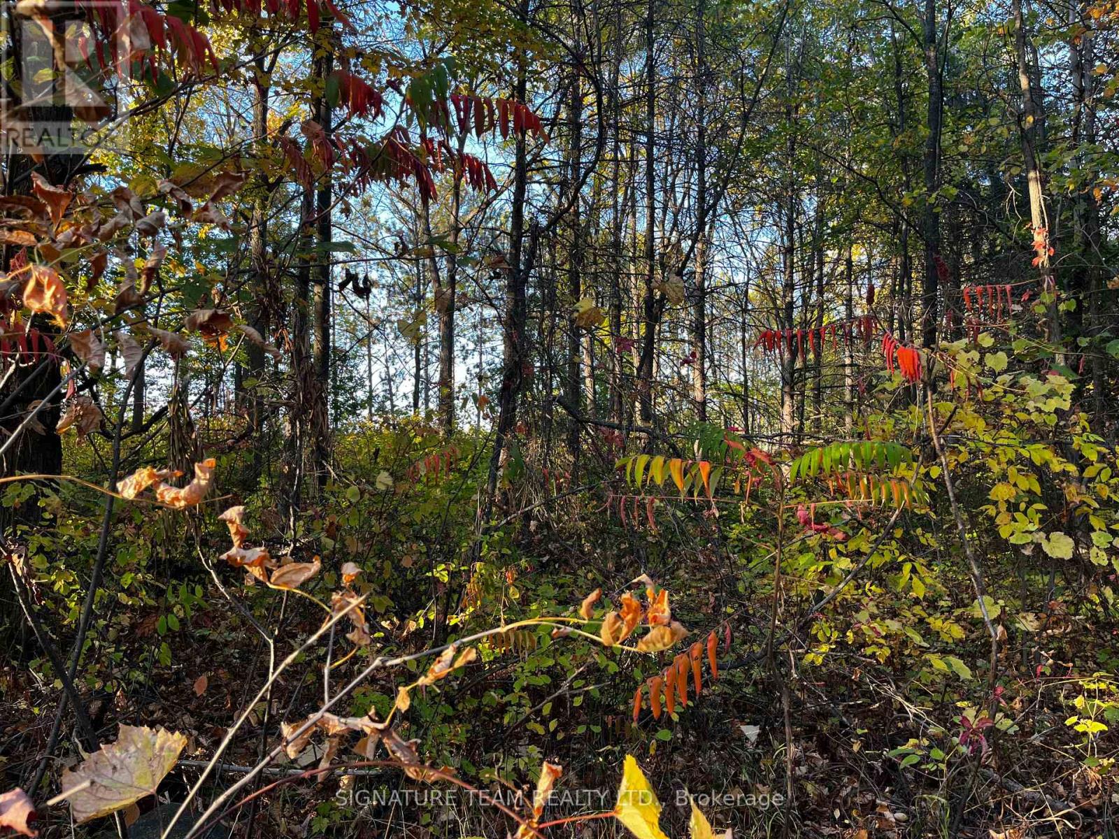 Lot 0 Bellamy Road, Mcnab/braeside, Ontario  K0A 3L0 - Photo 3 - X12444932