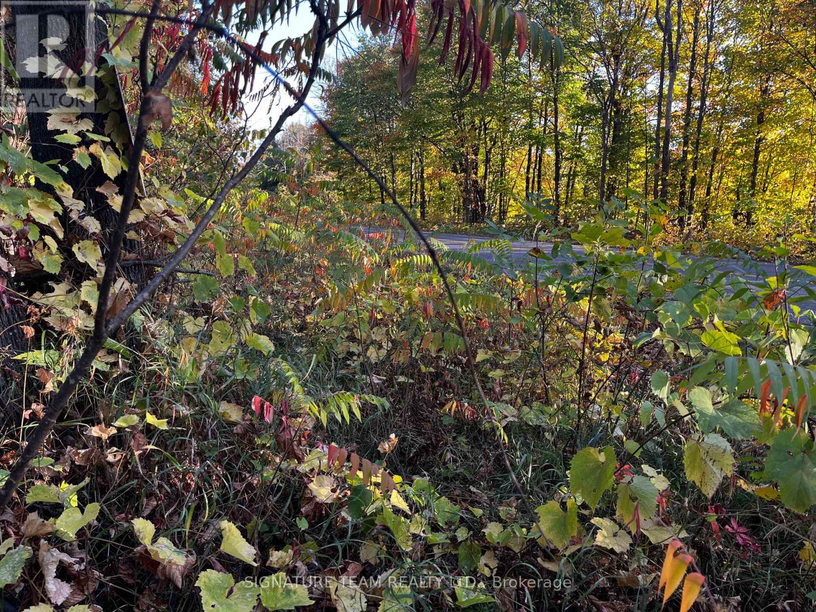 Lot 0 Bellamy Road, Mcnab/braeside, Ontario  K0A 3L0 - Photo 5 - X12444932