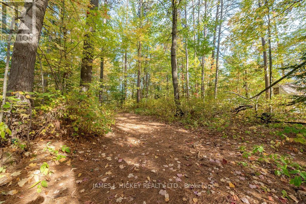 13 Thomson Crescent, Deep River, Ontario  K0J 1P0 - Photo 30 - X12444939