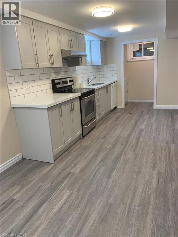 205 Blucher Street Unit# Lower, Kitchener, Ontario  N2H 5V6 - Photo 4 - 40776279