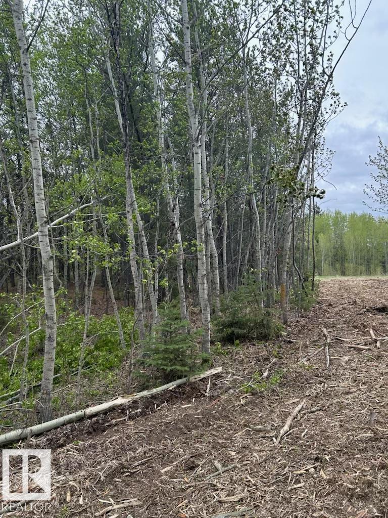 3 26414 Twp Road 515 A, Rural Parkland County, Alberta  T7Y 1E3 - Photo 10 - E4460850