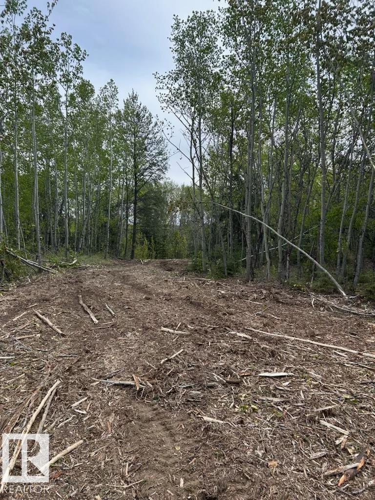 3 26414 Twp Road 515 A, Rural Parkland County, Alberta  T7Y 1E3 - Photo 11 - E4460850