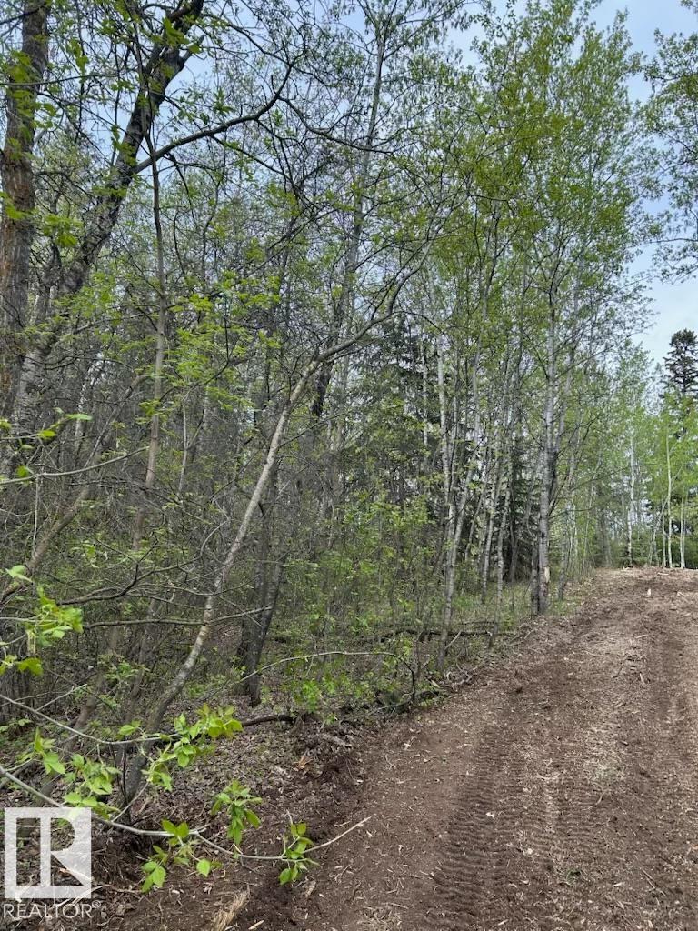 3 26414 Twp Road 515 A, Rural Parkland County, Alberta  T7Y 1E3 - Photo 12 - E4460850