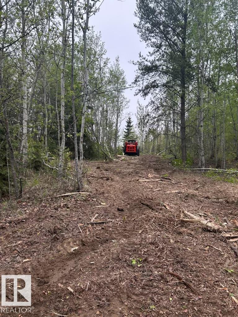 3 26414 Twp Road 515 A, Rural Parkland County, Alberta  T7Y 1E3 - Photo 5 - E4460850