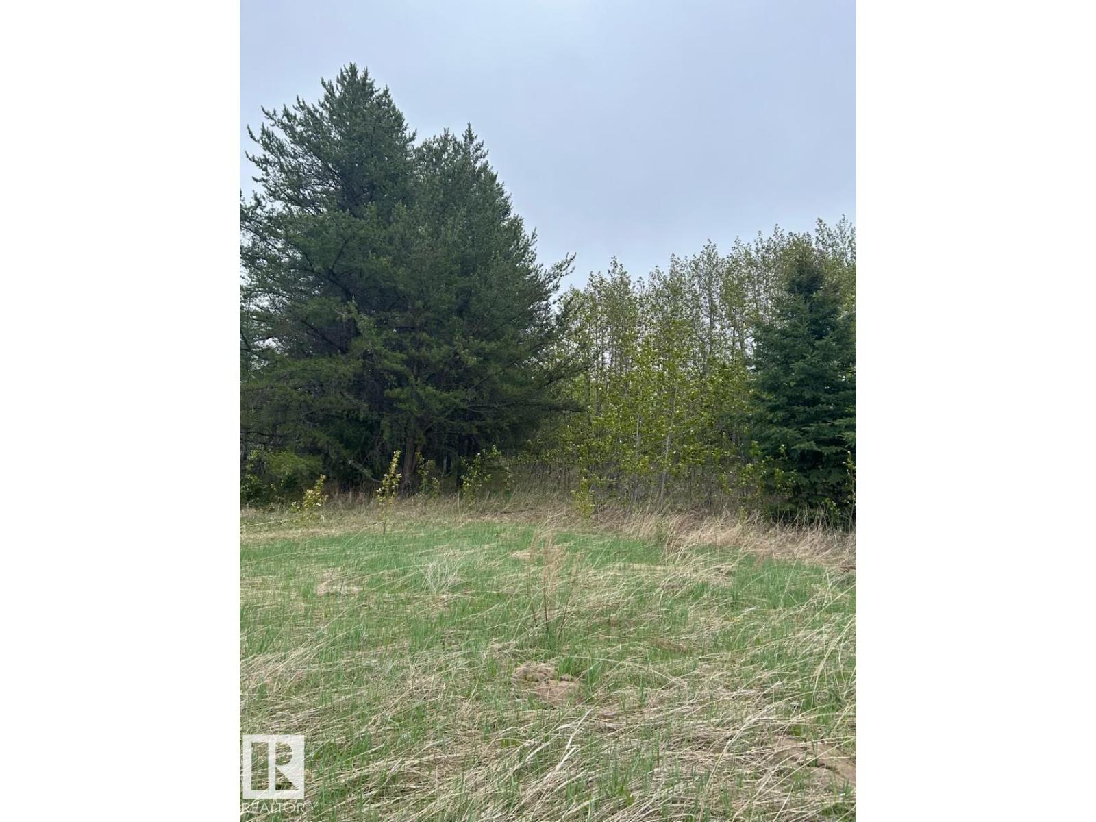 3 26414 Twp Road 515 A, Rural Parkland County, Alberta  T7Y 1E3 - Photo 6 - E4460850