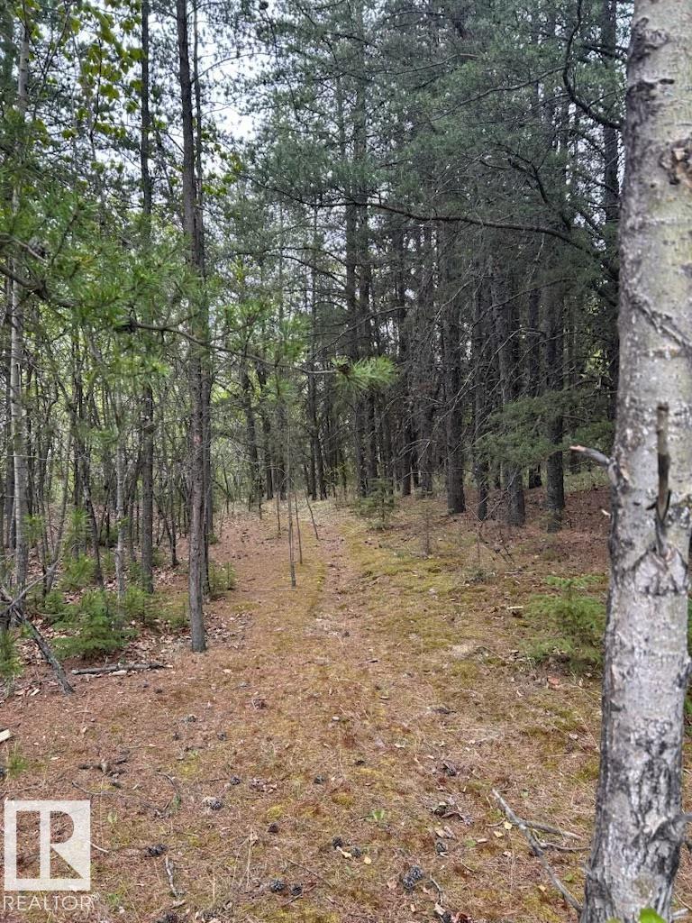 3 26414 Twp Road 515 A, Rural Parkland County, Alberta  T7Y 1E3 - Photo 8 - E4460850
