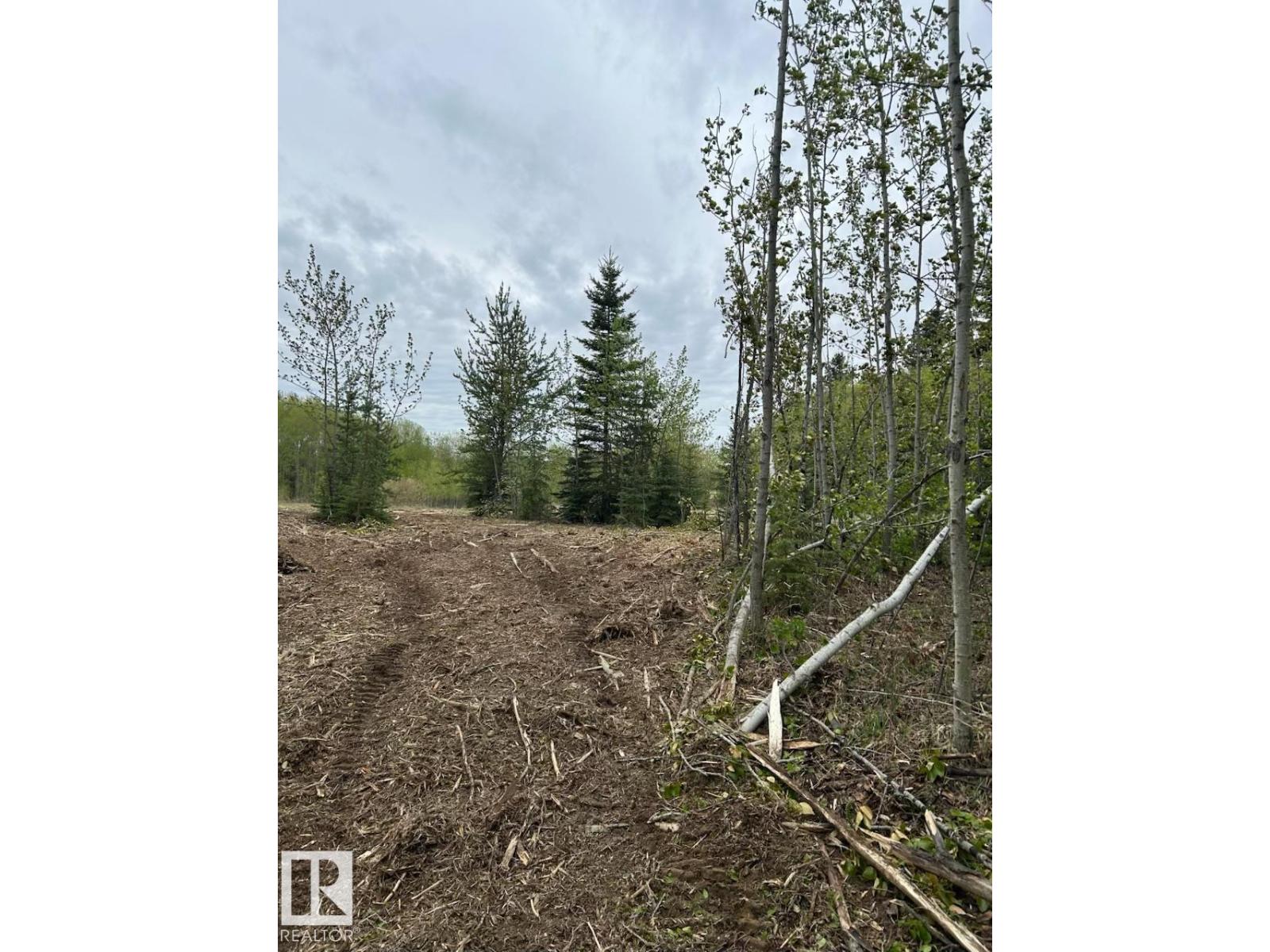3 26414 Twp Road 515 A, Rural Parkland County, Alberta  T7Y 1E3 - Photo 9 - E4460850