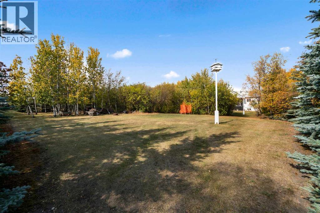 321 Allen Street (Braim), Rural Camrose County, Alberta  T4V 2N1 - Photo 31 - A2262019