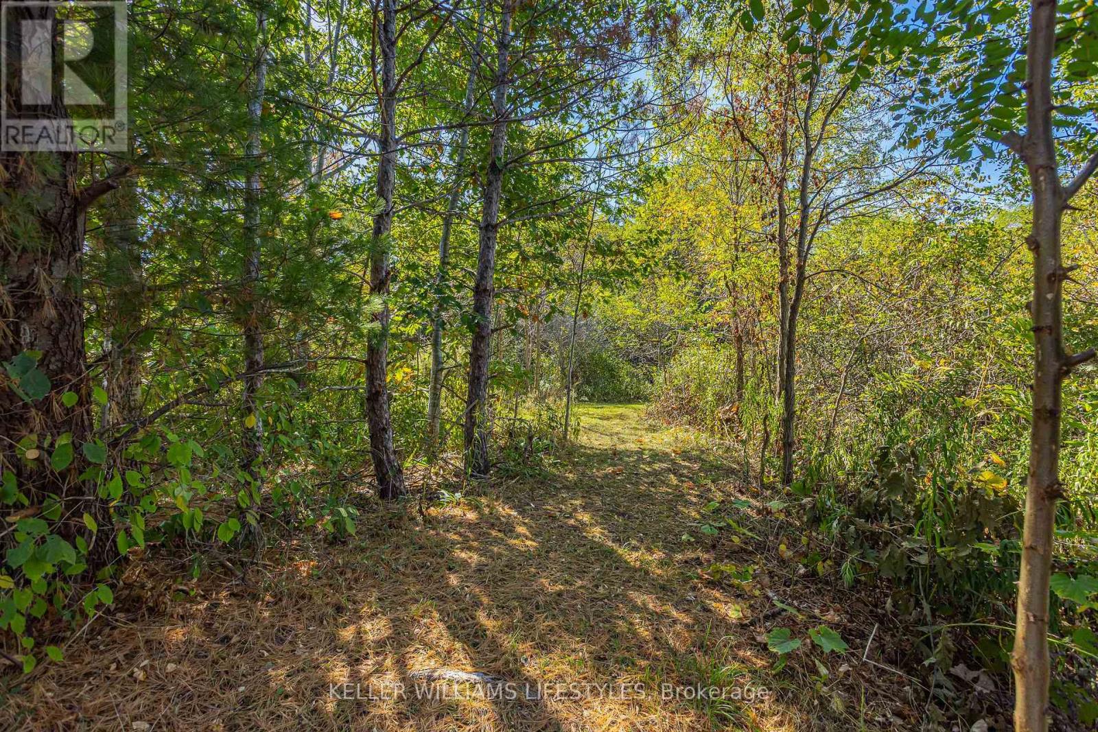 4723 Ausable Drive, North Middlesex, Ontario  N0M 1A0 - Photo 37 - X12445076