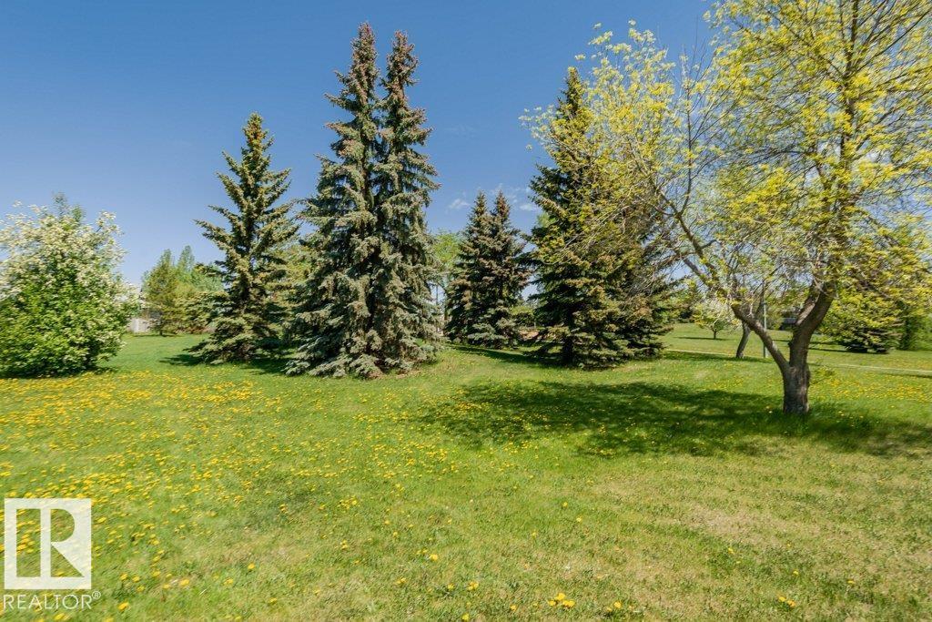 18476 62b Av Nw Nw, Edmonton, Alberta  T5T 2N7 - Photo 28 - E4460748