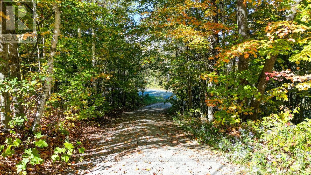 1831 South Baptiste Lake Road, Hastings Highlands, Ontario  K0L 1C0 - Photo 43 - X12445089