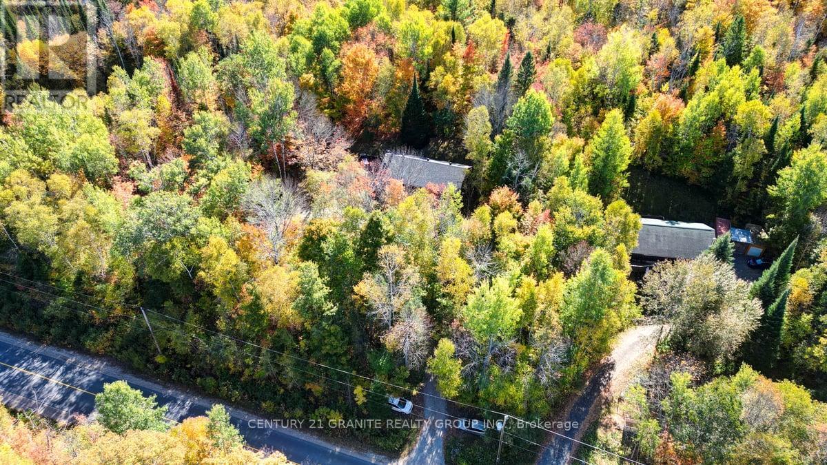 1831 South Baptiste Lake Road, Hastings Highlands, Ontario  K0L 1C0 - Photo 46 - X12445089