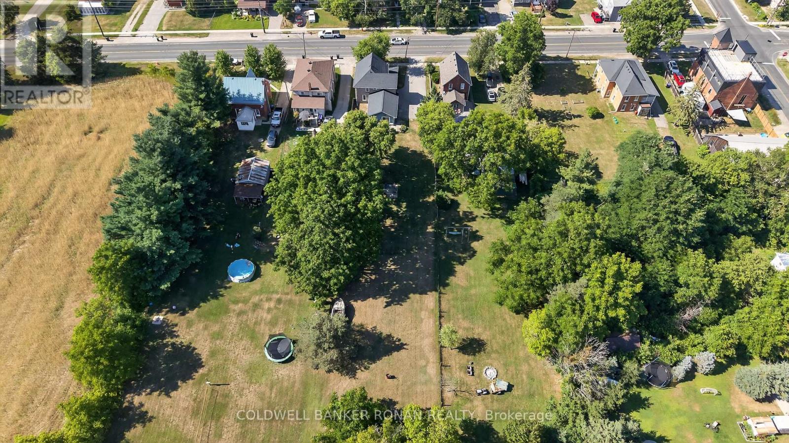 8153 Main Street, Adjala-Tosorontio, Ontario  L0M 1J0 - Photo 36 - N12313679